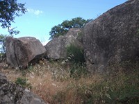 gale-20120725 110